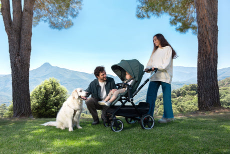 Pushchair, Pram & Travel System Sale