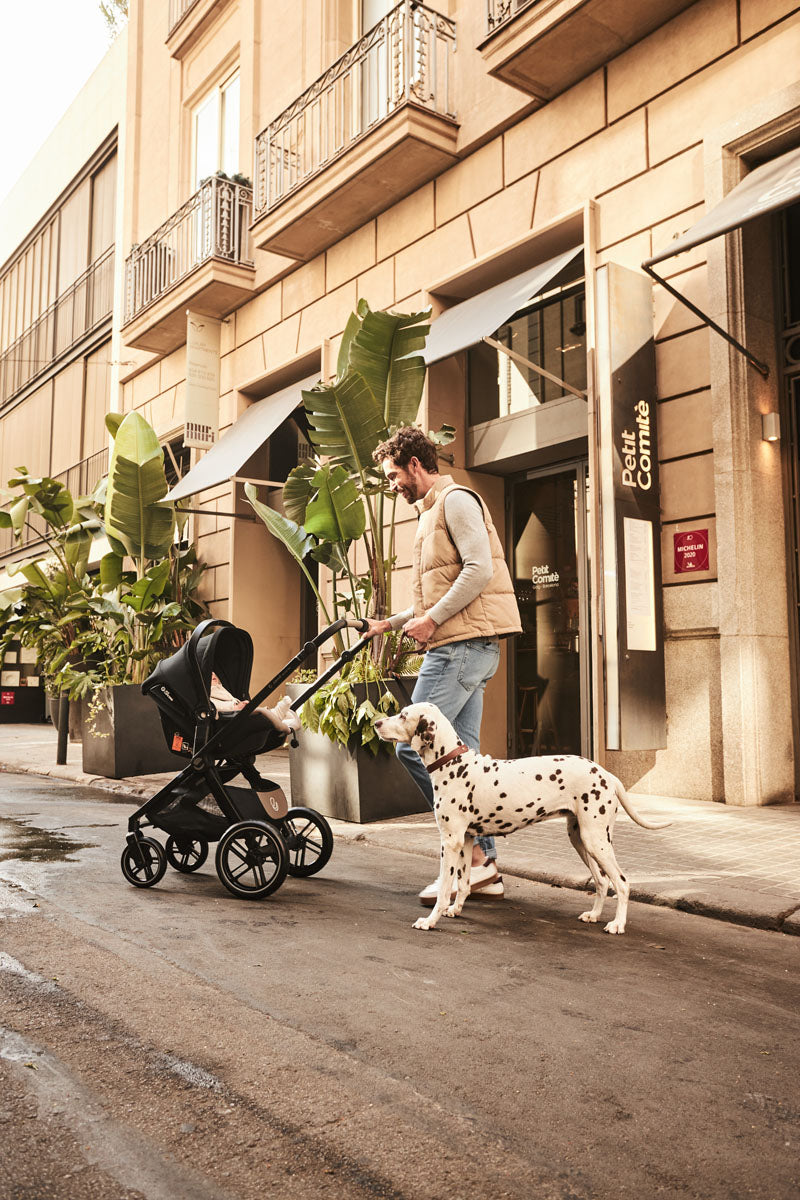 Pushchair Compatible Baby Car Seats