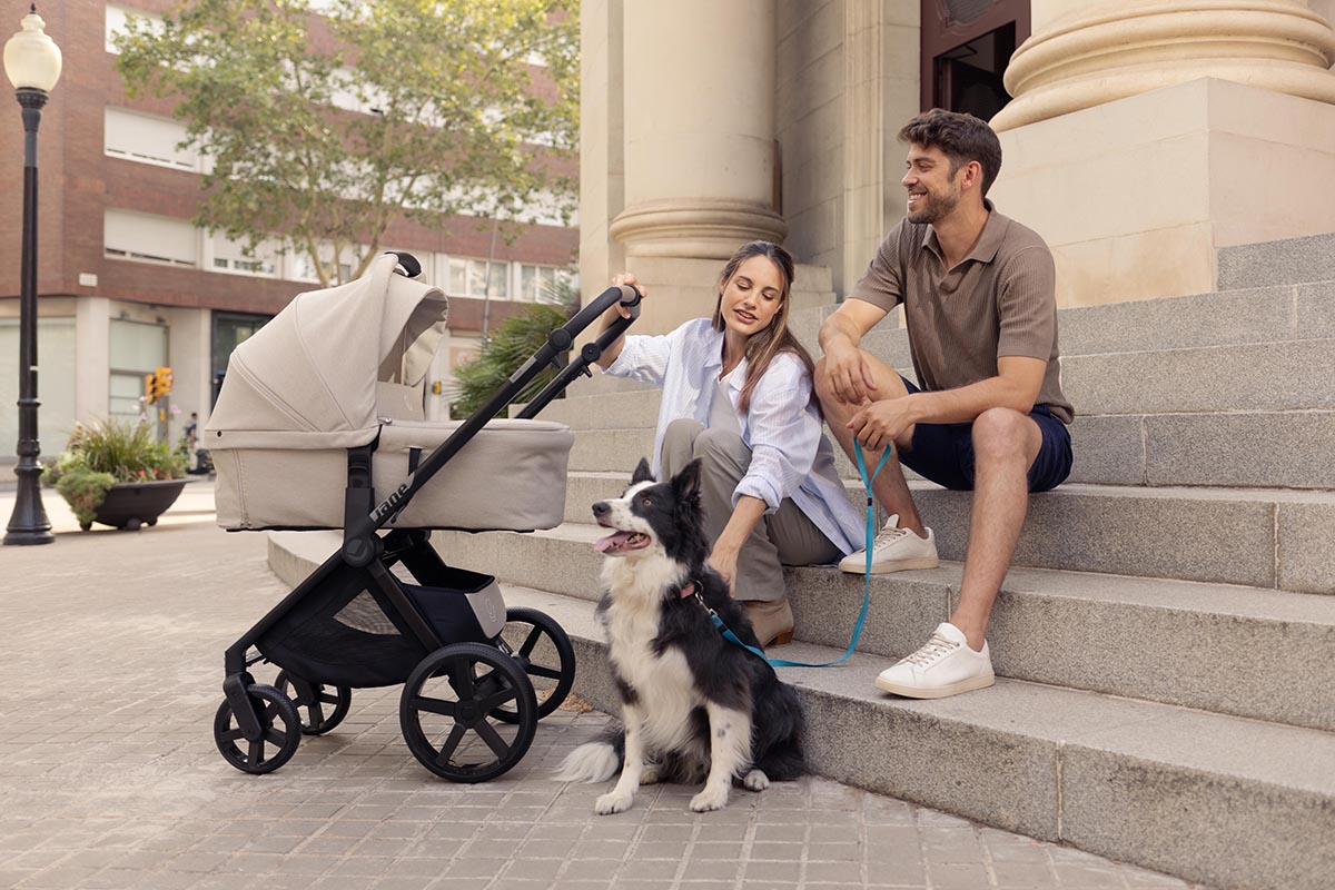 Pram & Pushchair Accessories