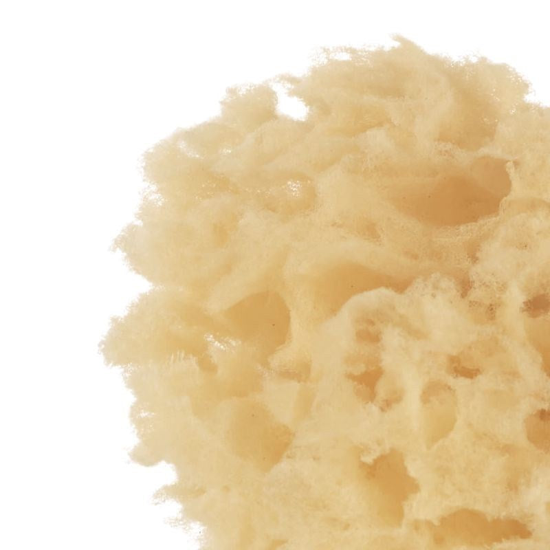 Jane Natural Sponges (2 Pack)