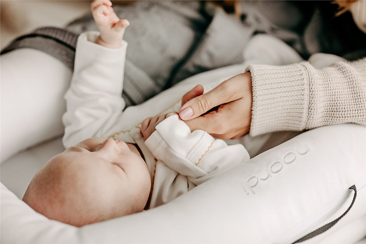 Noordi 2in1 Baby Nest + Maternity Pillow
