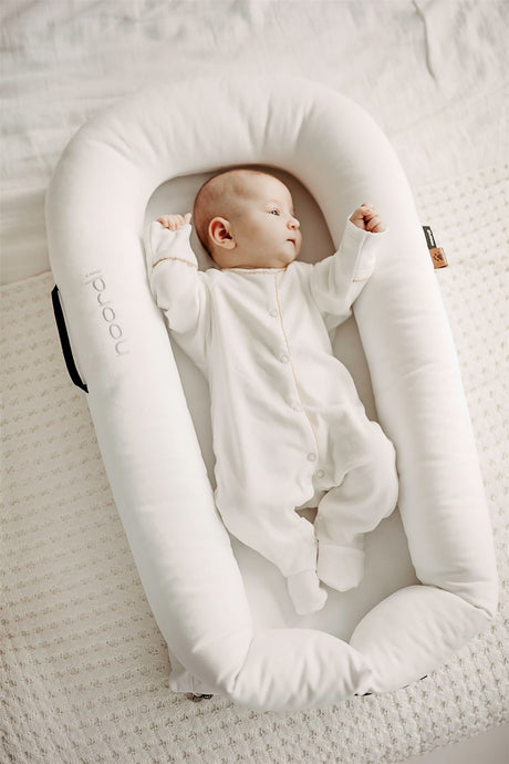 Noordi 2in1 Deluxe Baby Nest + Maternity Pillow