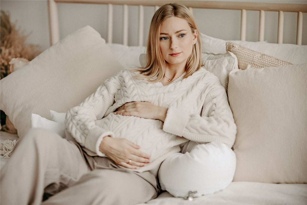 Noordi 2in1 Deluxe Baby Nest + Maternity Pillow