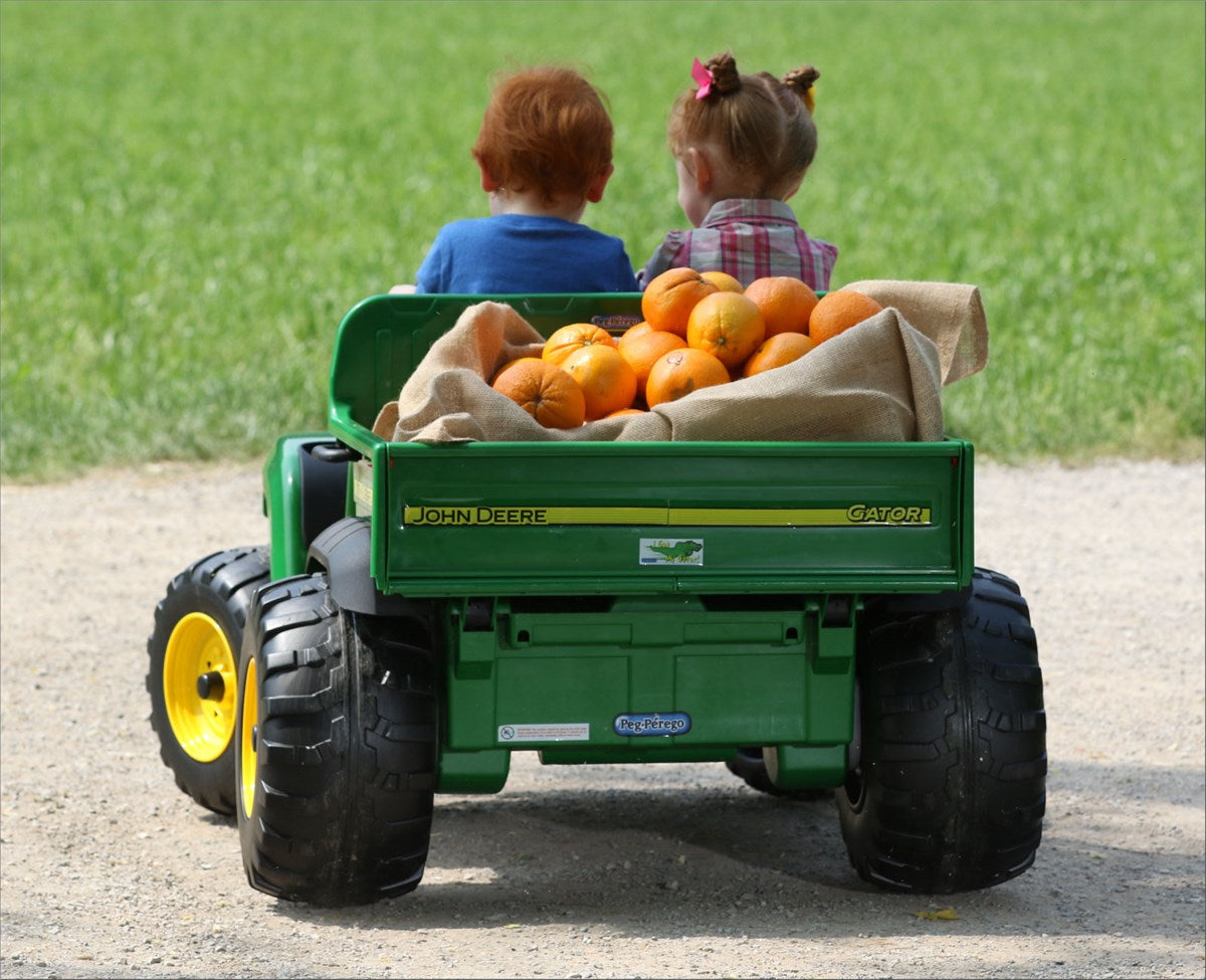 Peg Perego John Deere Gator HPX 12 Volt