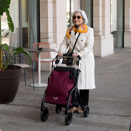 Playcare R05 Walking Aid with Cart & Seat