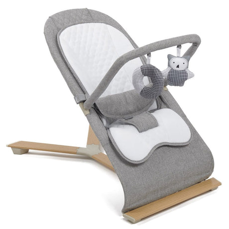 Johnston's Gravity Luxe Bouncer
