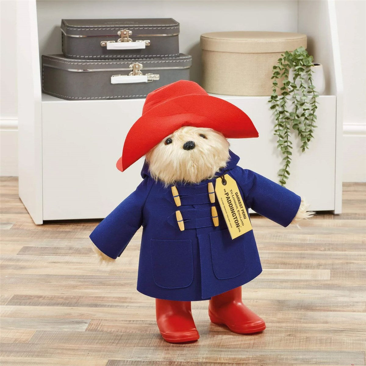Rainbow Designs Large Collector Paddington Bear