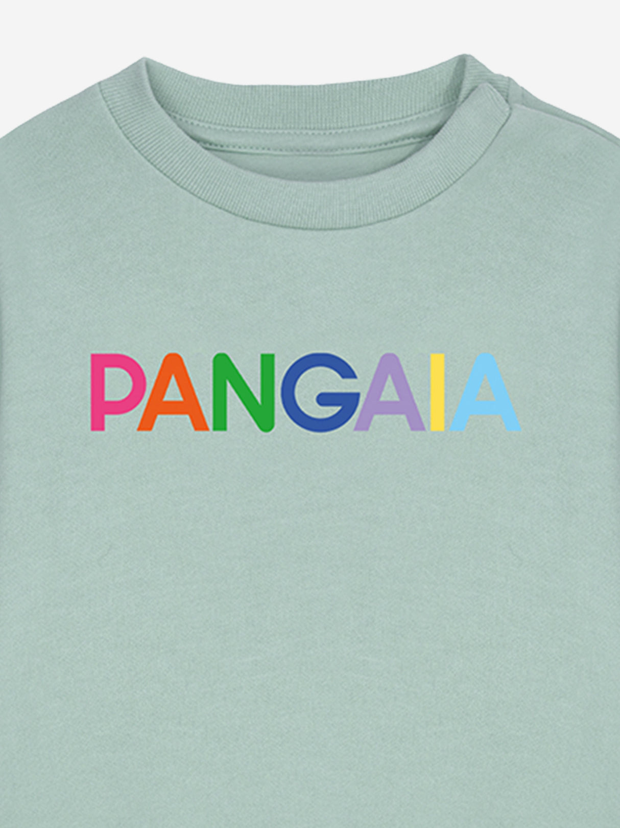 PANGAIA Baby 365 Graphic Sweatshirt in Green