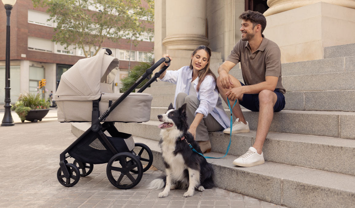 Jane Muum-4 + Sweet + Koos iSize 3in1 travel system