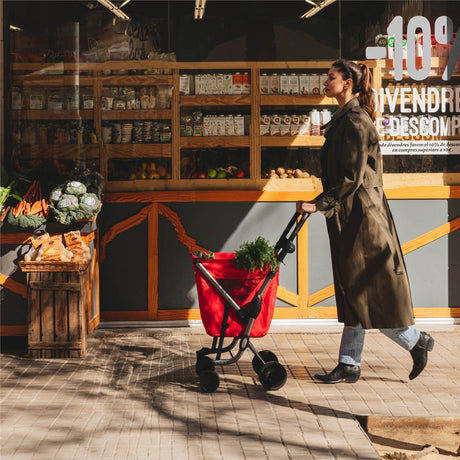 Shopping Trolleys