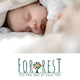 Forrest
