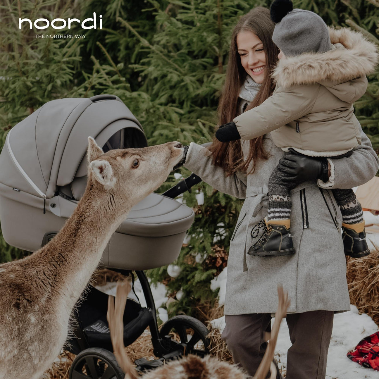 Noordi Fjordi V1 Collection