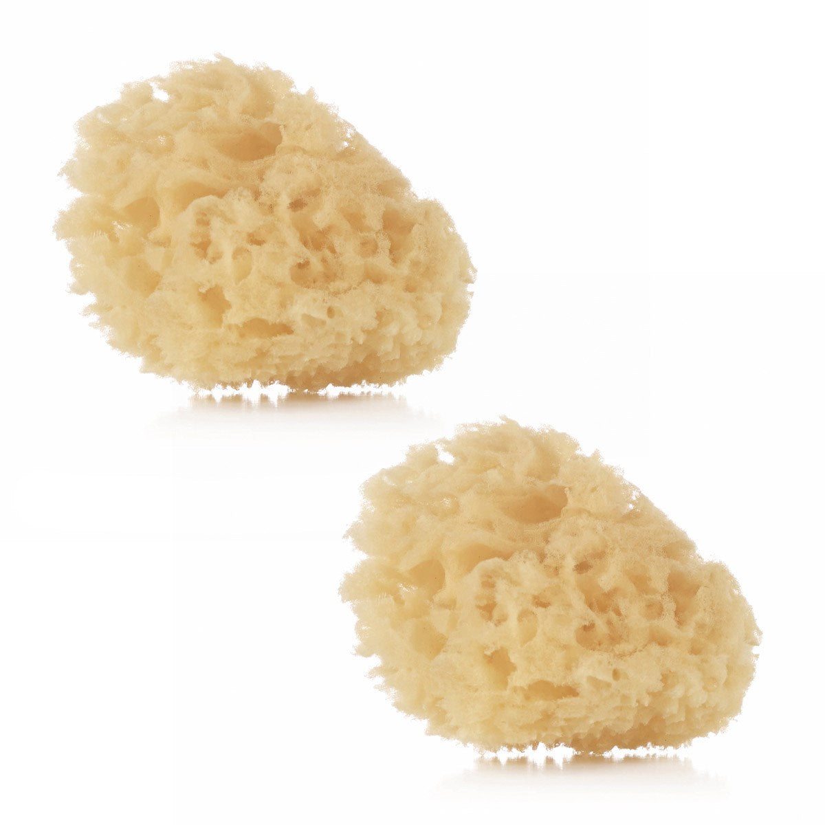 Jane Natural Sponges (2 Pack)