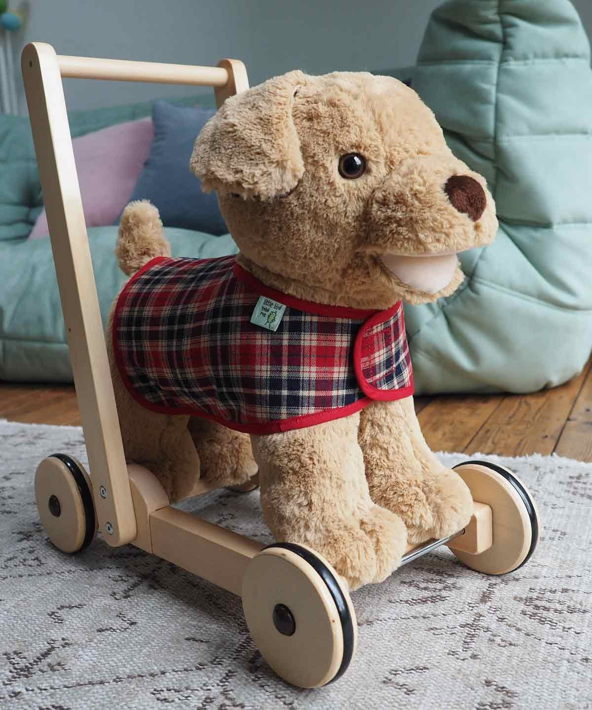 Little Bird Told Me Reversible Dog Coat for Push Along Baby Walkers