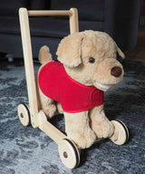 Little Bird Told Me Reversible Dog Coat for Push Along Baby Walkers