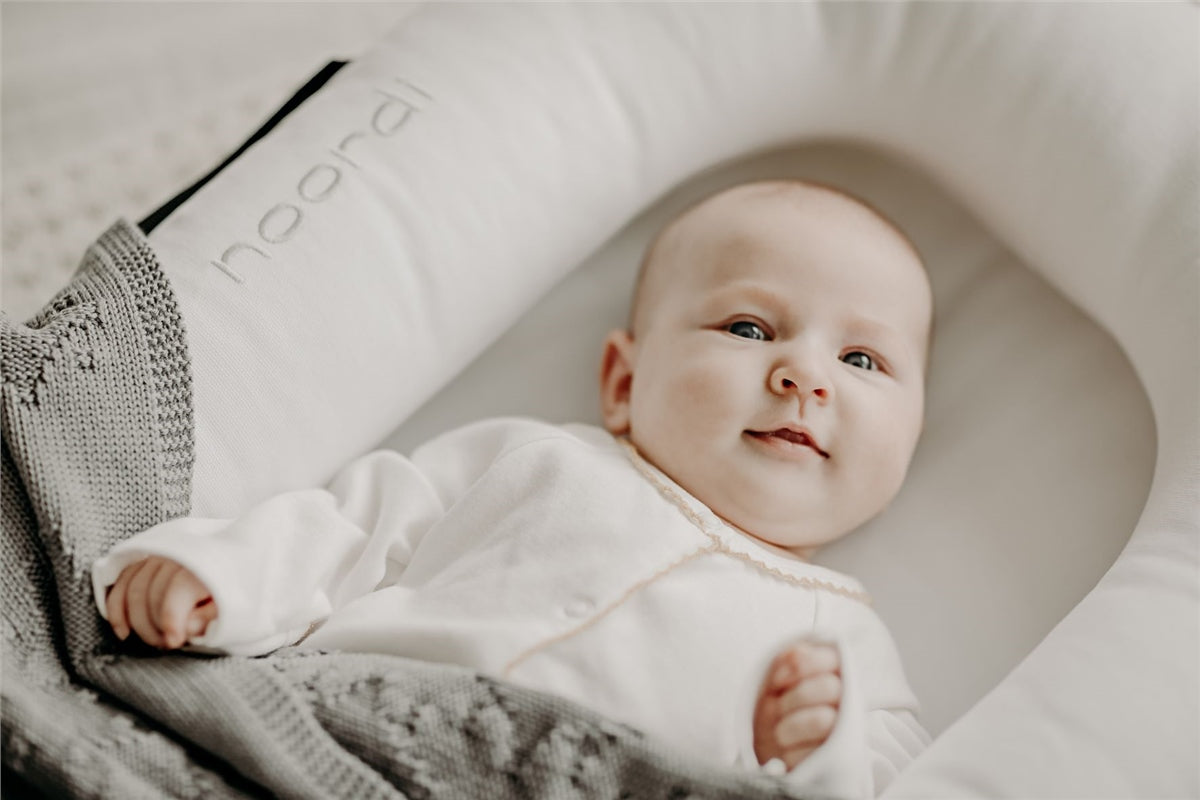 Noordi 2in1 Baby Nest + Maternity Pillow