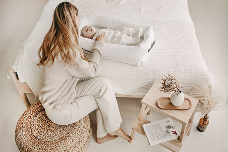 Noordi 2in1 Baby Nest + Maternity Pillow