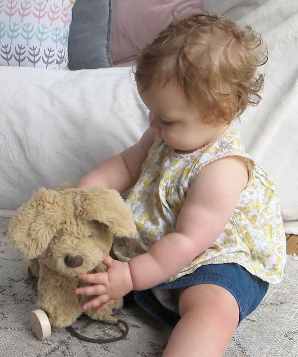 Little Bird Told Me Dexter Dog 2-in-1 Pull Along Toy