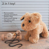 Little Bird Told Me Dexter Dog 2-in-1 Pull Along Toy