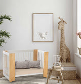 Cocoon Evoluer 4in1 Cot bed + Dresser + Mattresses, White / Natural