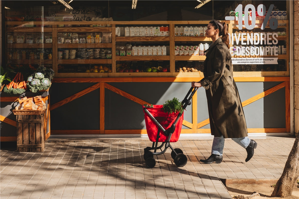 Playmarket We Go shopping trolley
