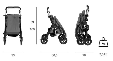 Playcare R05 Walking Aid with Cart & Seat