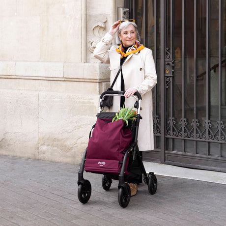 Playcare R05 Walking Aid with Cart & Seat