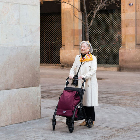 Playcare R05 Walking Aid with Cart & Seat