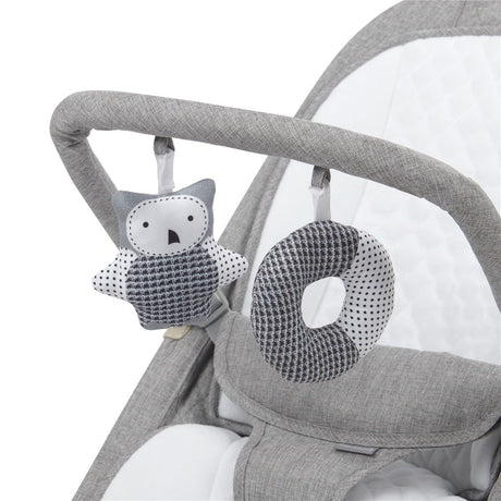 Johnston's Gravity Luxe Bouncer