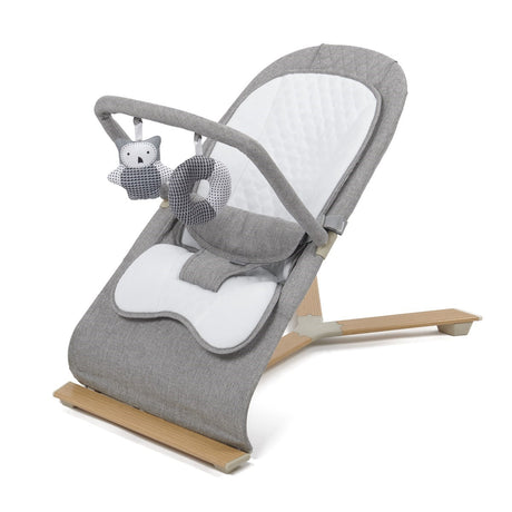 Johnston's Gravity Luxe Bouncer