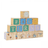 Rainbow Designs Peter Rabbit Wooden Picture Blocks