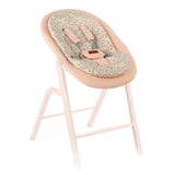 Baby bouncer with floral cushion on a white background