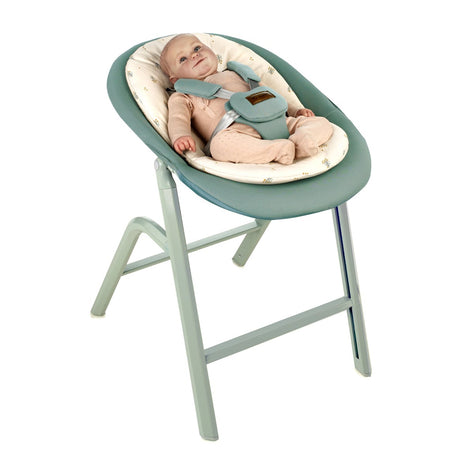 Baby in a green and beige baby bouncer on a white background