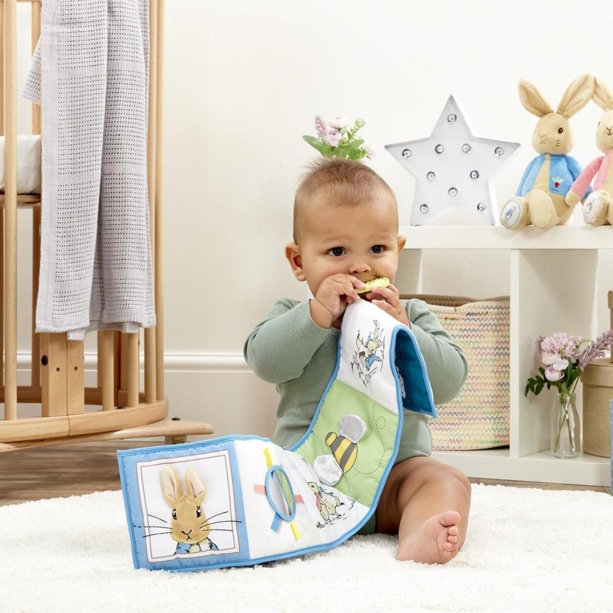 Rainbow Designs Peter Rabbit Unfold & Discover