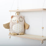 Cloud B Baby Night Light Owl with Cry Sensor, White Noise & Lullabies