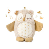 Cloud B Baby Night Light Owl with Cry Sensor, White Noise & Lullabies