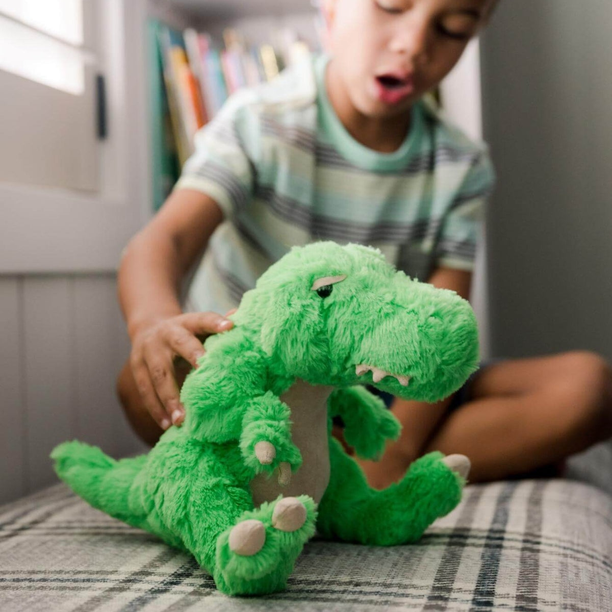 Rainbow Designs Dinoriffic T-rex Textured Soft Toy