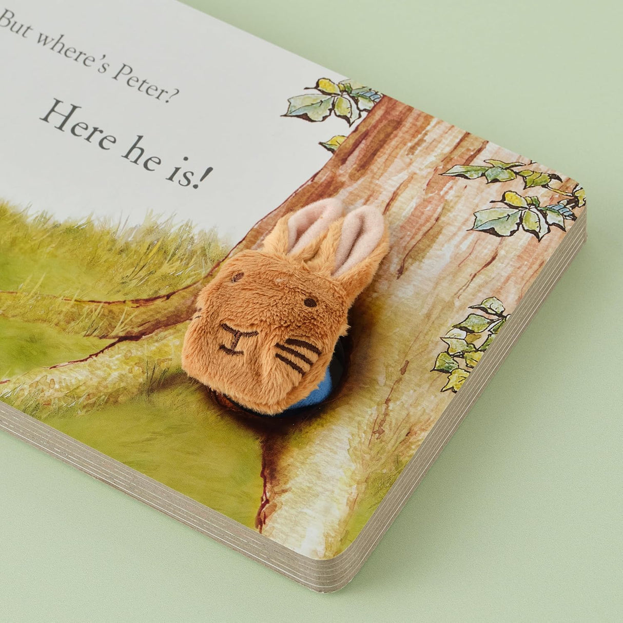 Rainbow Designs Peter Rabbit Finger Puppet Book