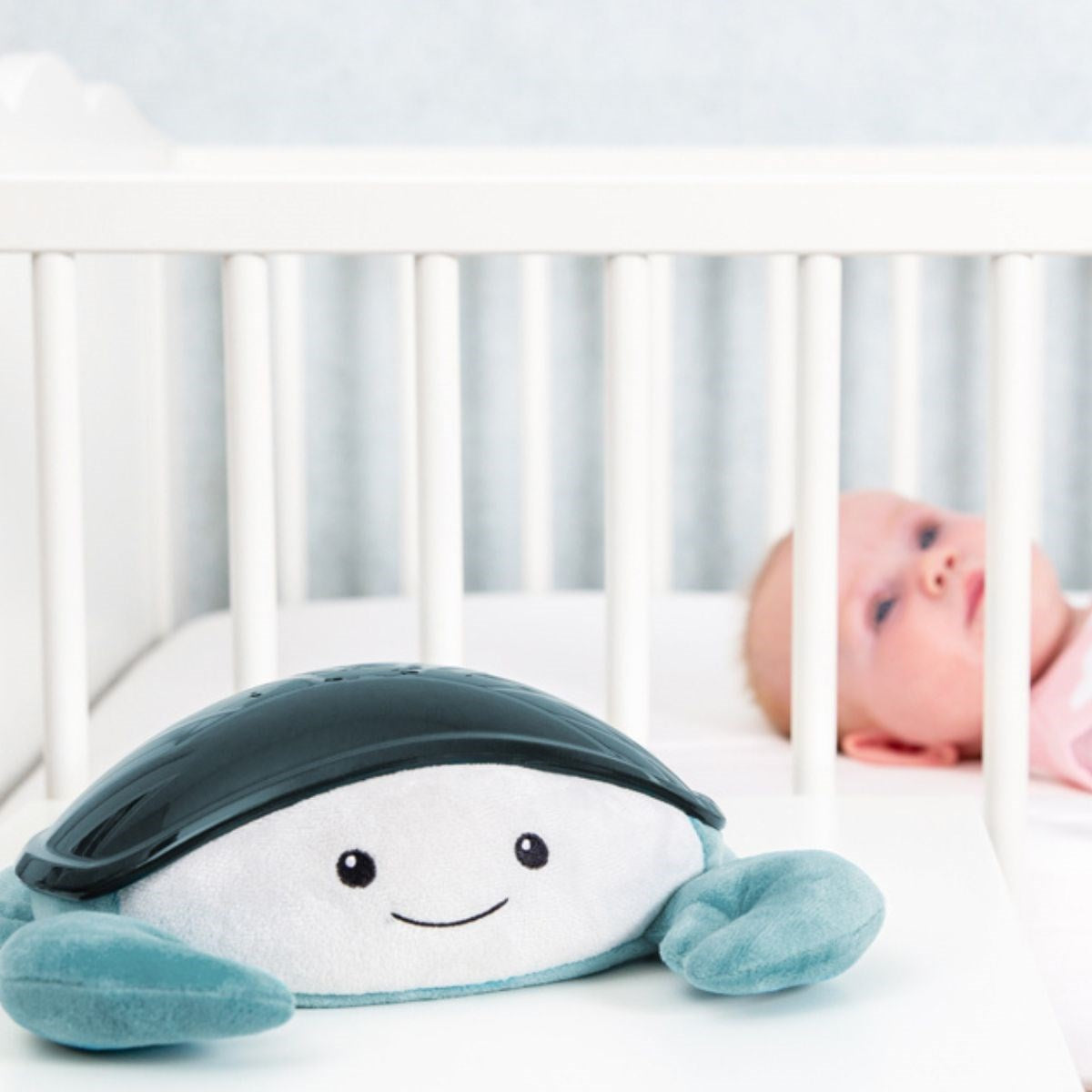 Zazu Cody The Crab - Ocean Projector