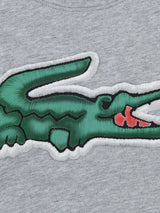 Lacoste Boys Logo T-Shirt in Grey