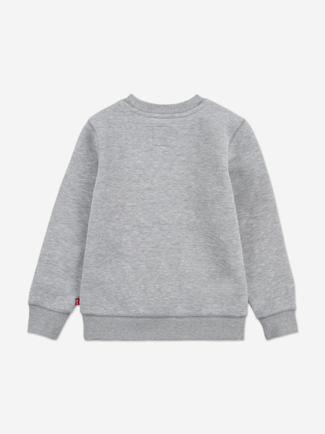Levi's Boys Batwing Crew Neck Sweatshirt in Grey