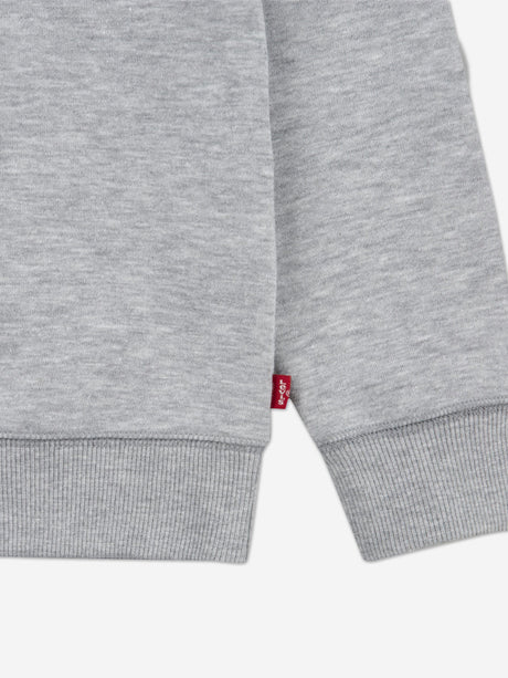 Levi's Boys Batwing Crew Neck Sweatshirt in Grey