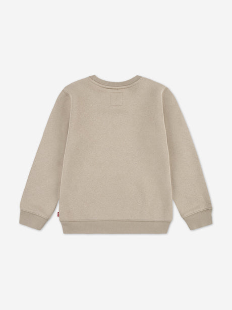 Levi's Boys Batwing Sweatshirt in Beige
