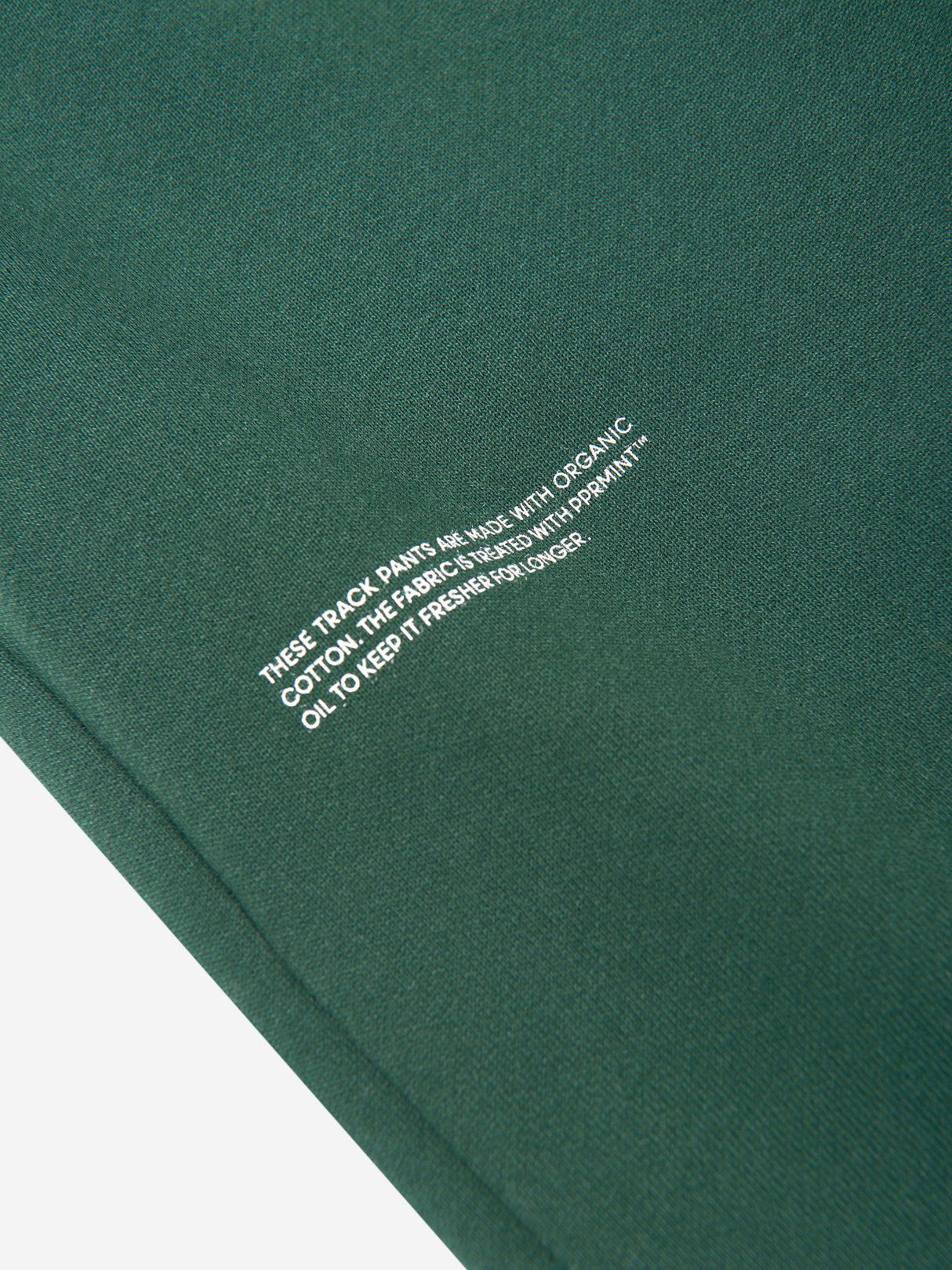 PANGAIA Kids 365 Midweight Track Pants in Green
