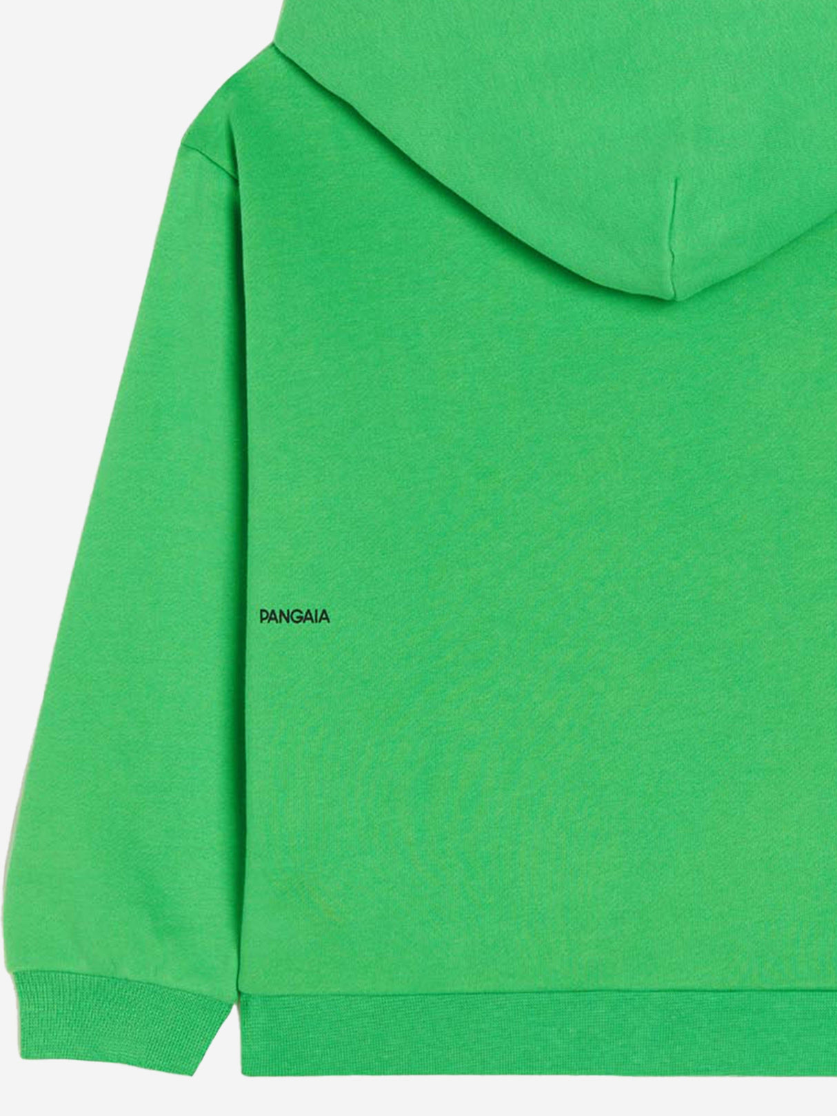 PANGAIA Kids 365 Midweight Hoodie in Green