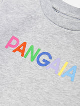 PANGAIA Baby 365 Graphic Sweatshirt in Grey