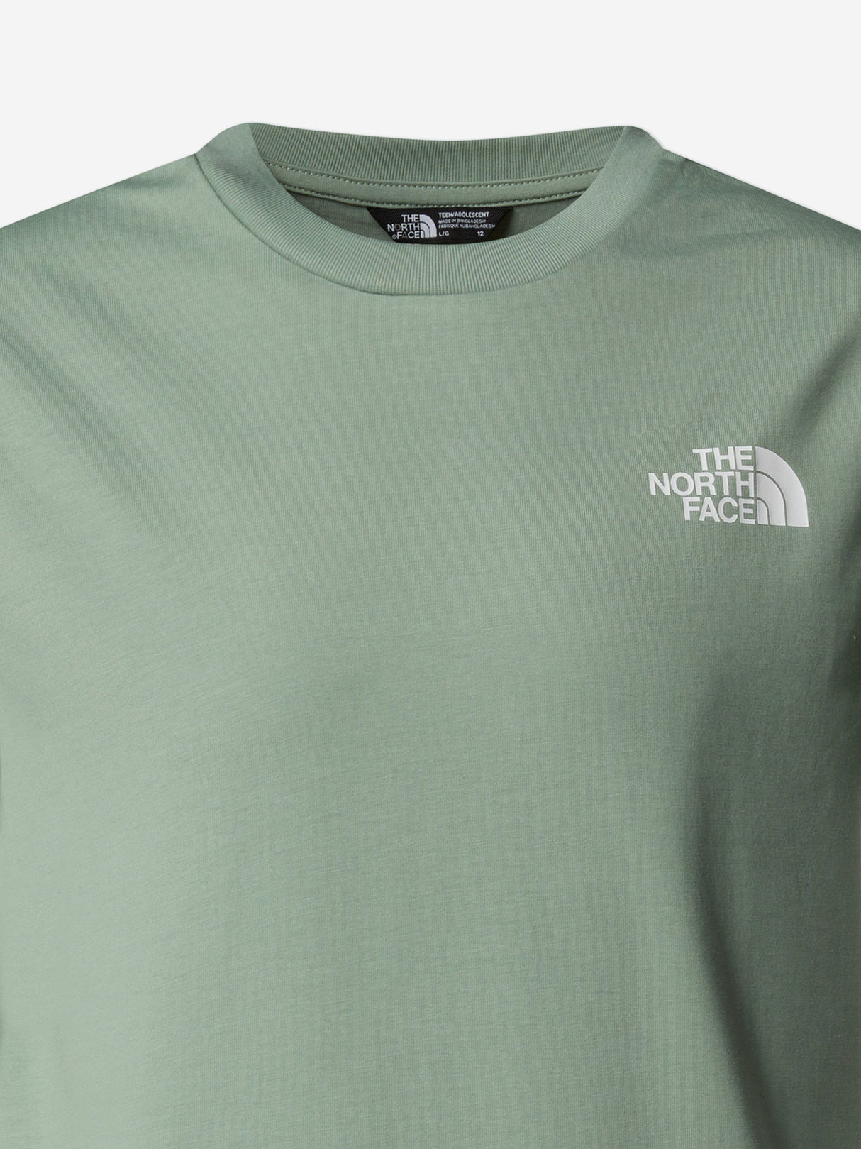 The North Face Kids Simple Dome T-Shirt in Green