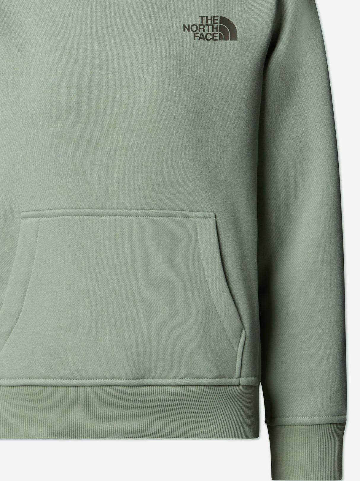The North Face Kids Box NSE Regular Hoodie in Green
